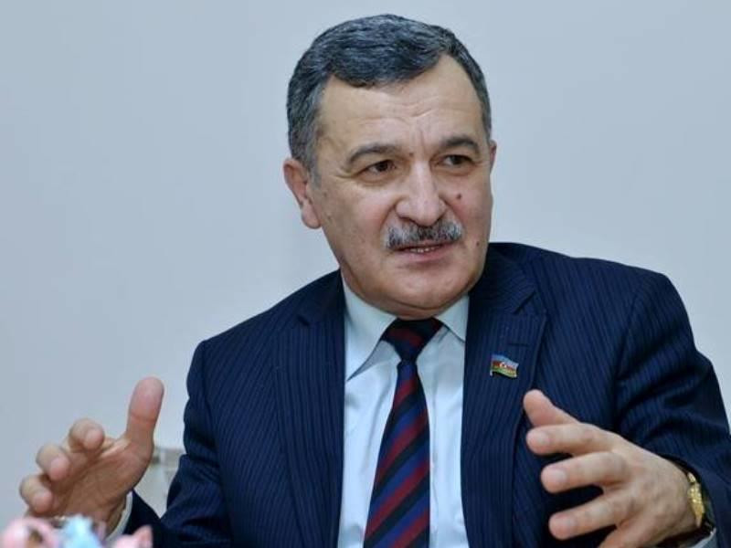 Aydin Mirzazada: “Azerbaijan provides low-interest loans to its allies”
