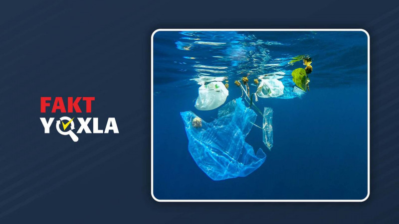 Plastik istifadəsini niyə azaltmalıyıq? Bizi nələr gözləyir?