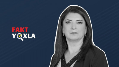Kamilə Əliyeva: “AŞPA Fransa, Almaniya və bir sıra Qərb dövlətlərindəki polis zorakılıqlarını görmək istəmir”