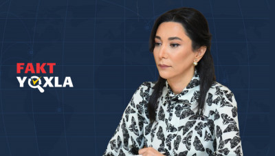 Ombudsman: Azərbaycanda fikir, söz və mətbuat azadlığı qabaqcıl demokratik ölkələrlə müqayisə olunacaq səviyyədədir
